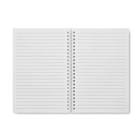 A5 recycled carton notebook RECARNOTE