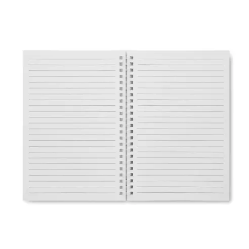 A5 recycled carton notebook RECARNOTE