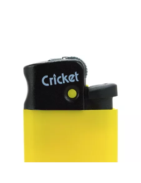 Lighter Minicricket