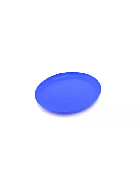 Frisbee Girox