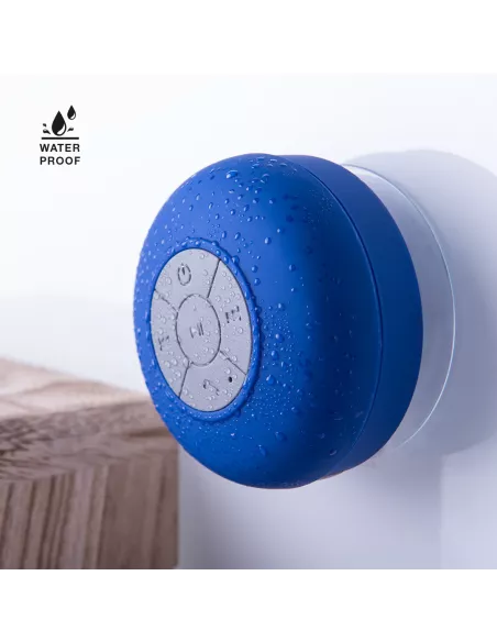 Speaker Rariax