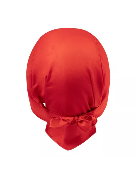 Bandana Garfy