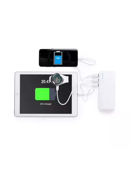 Power Bank Kaprin