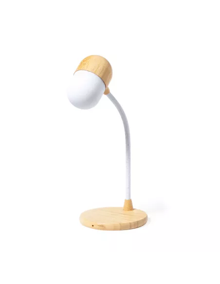 Multifunction Lamp Lars