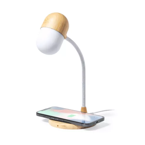 Multifunction Lamp Lars