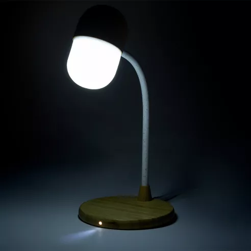 Multifunction Lamp Lars