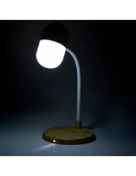 Multifunction Lamp Lars