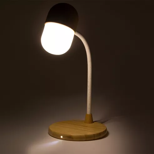 Multifunction Lamp Lars