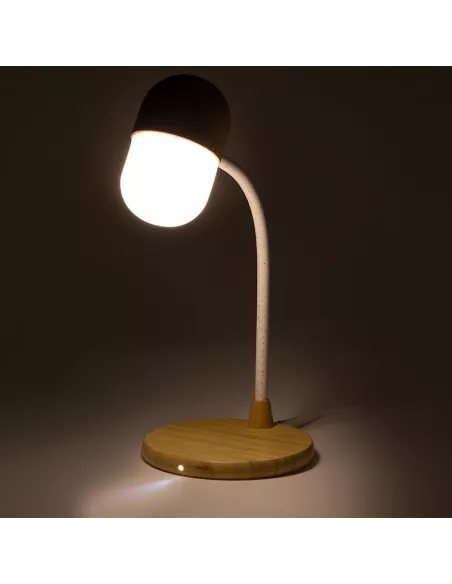 Multifunction Lamp Lars
