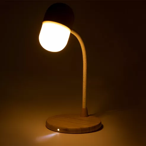 Multifunction Lamp Lars