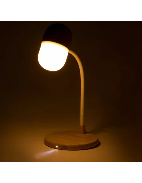 Multifunction Lamp Lars