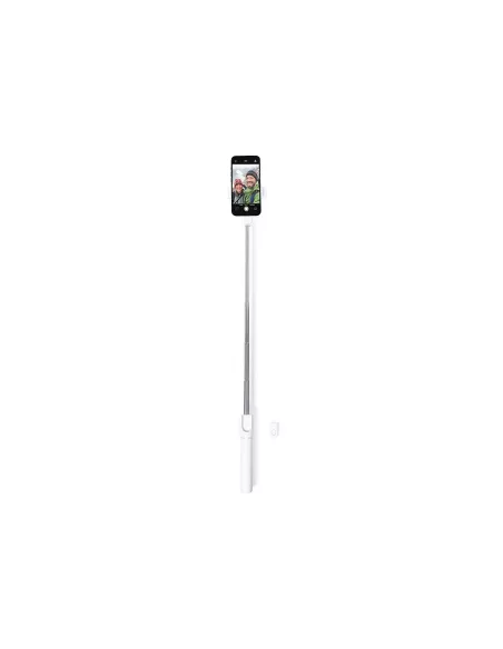 Tripod Merylin