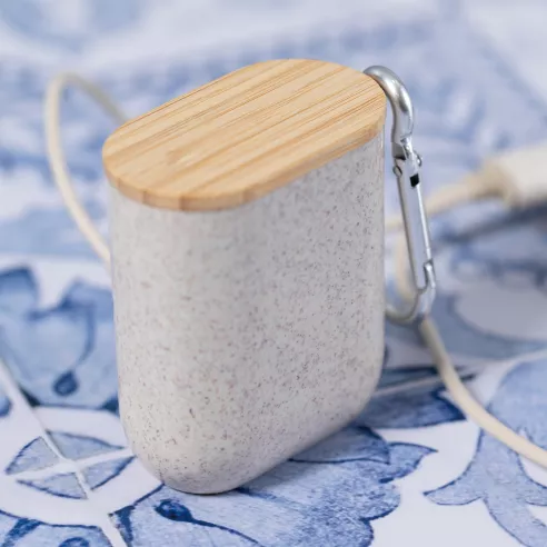 Charging Cable Brayce