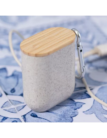 Charging Cable Brayce