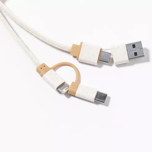 Charging Cable Denny