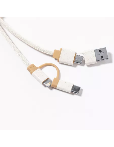 Charging Cable Denny