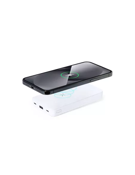 Power Bank Barry