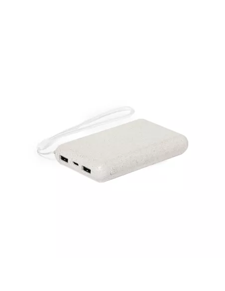 Power Bank Dawson