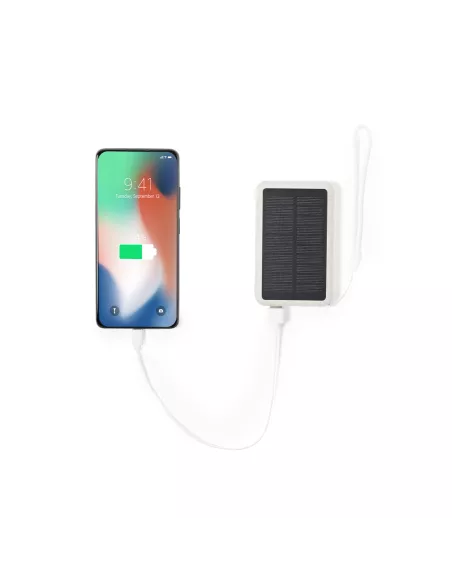 Power Bank Dawson