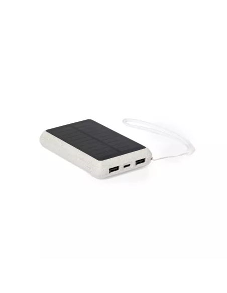 Power Bank Dawson