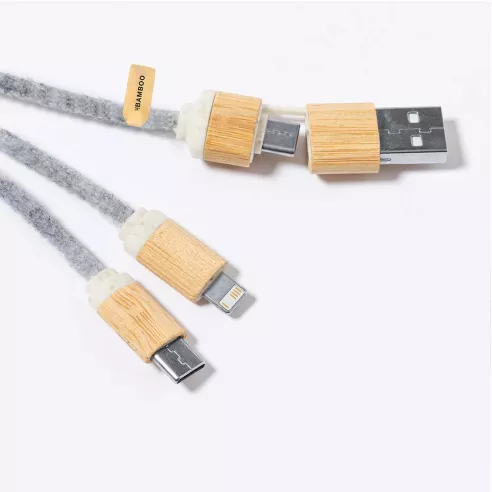 Charging Cable Braxton