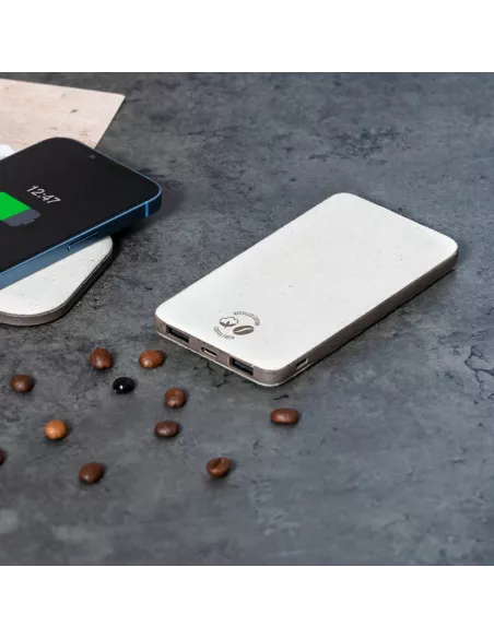 Power Bank Mayer