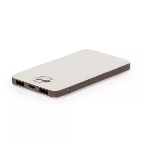 Power Bank Mayer