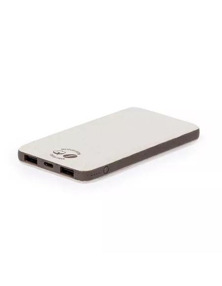 Power Bank Mayer