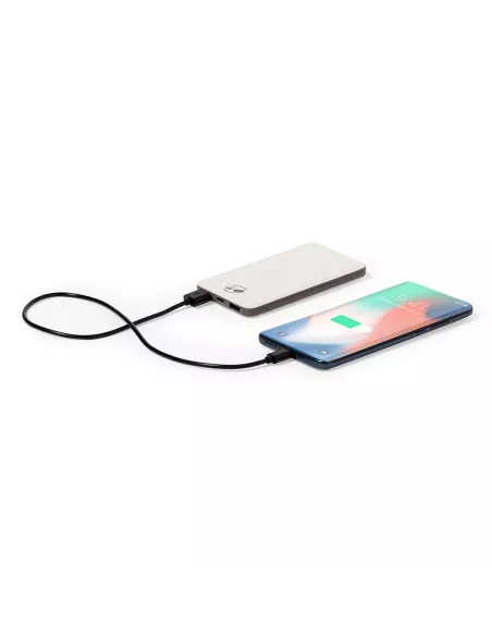 Power Bank Mayer