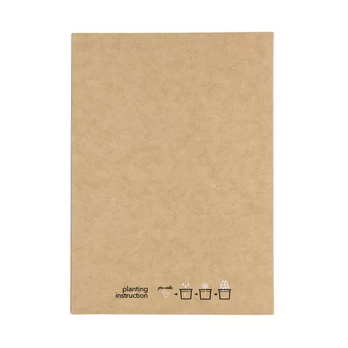 Postal Adorno Astrox