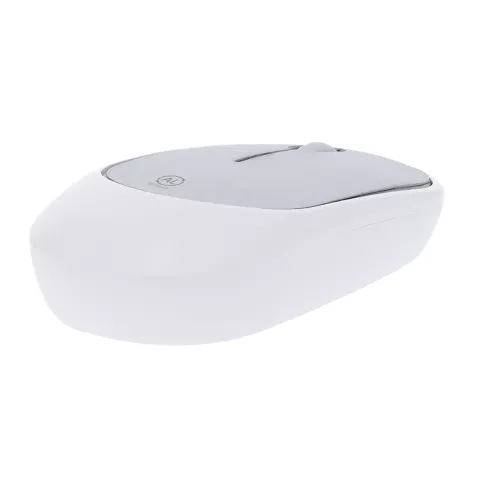 Mouse Doryt RCS