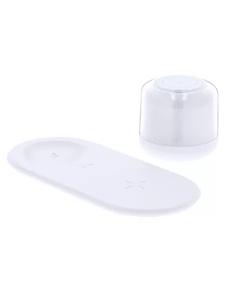 Charger Lamp Reginal