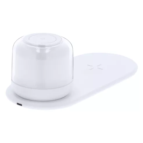 Charger Lamp Reginal
