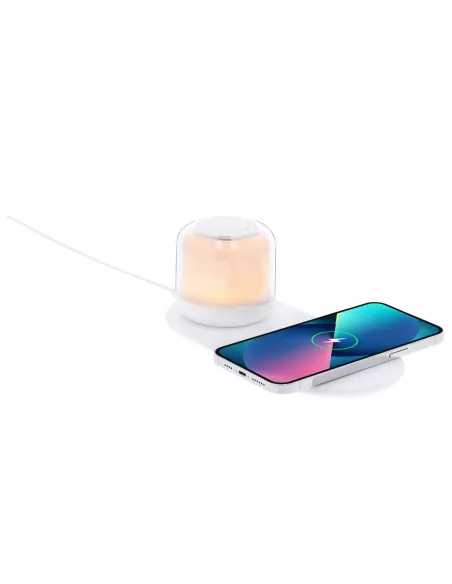 Charger Lamp Reginal