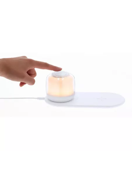 Charger Lamp Reginal