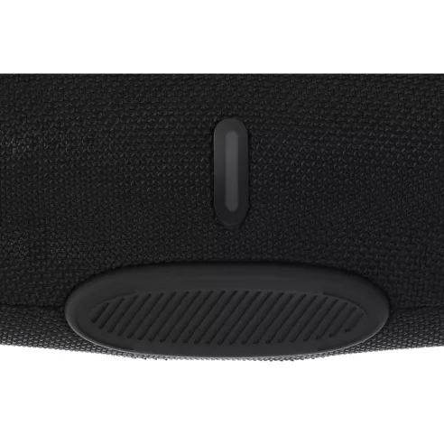 Speaker Digby