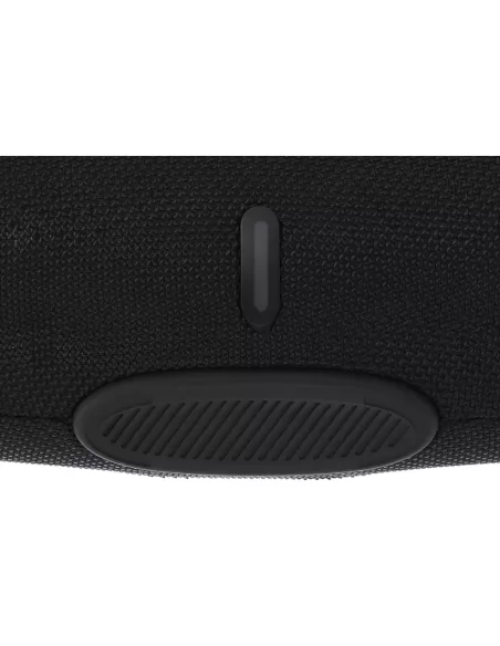 Speaker Digby