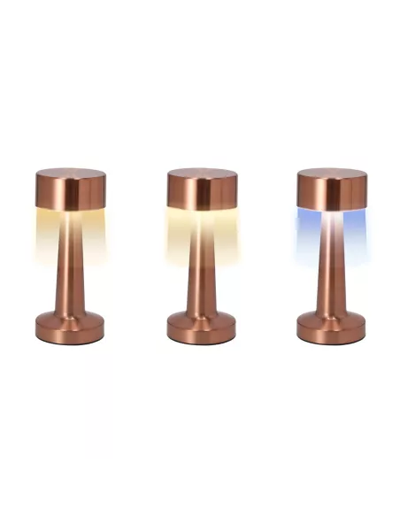 Lamp Rosity