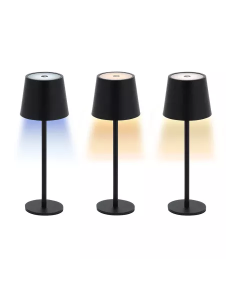 Lamp Tanik