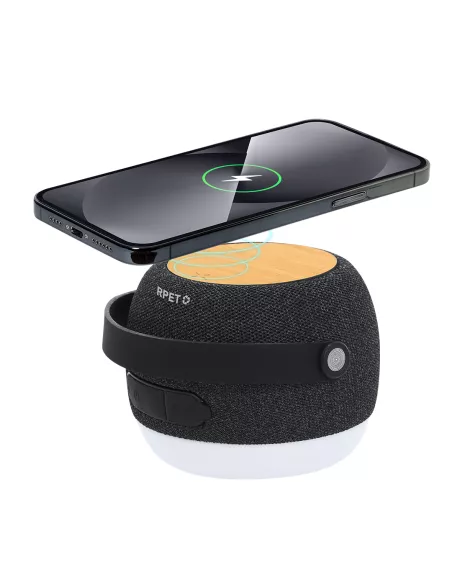 Charger Speaker Sprit