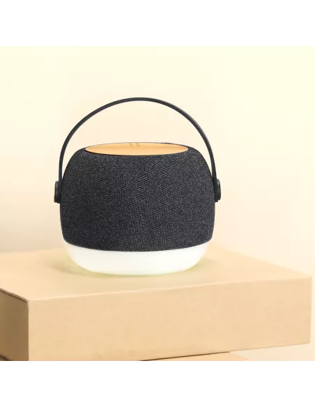 Charger Speaker Sprit
