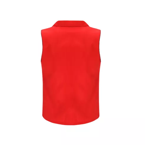 Vest Dervik