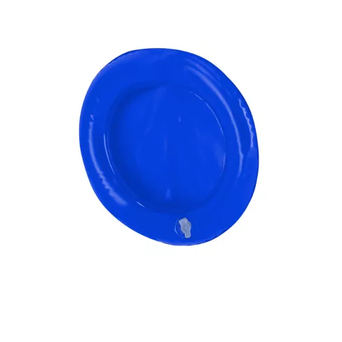 Frisbee Pad Zalox