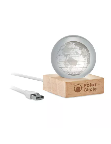 LED globe glass ball GLOBE LIGHT