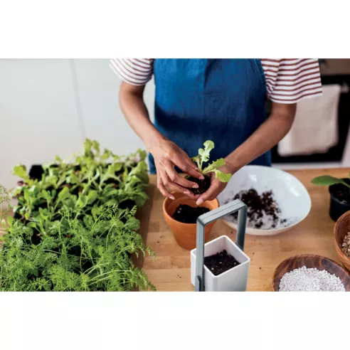 Indoor garden with LED light LUSHLET