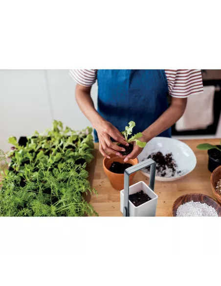 Indoor garden with LED light LUSHLET