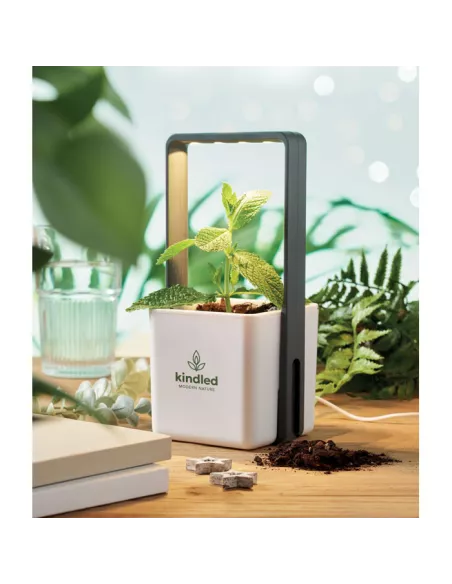 Indoor garden with LED light LUSHLET
