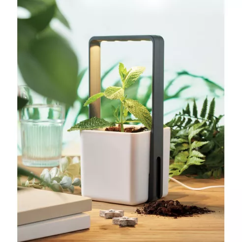 Indoor garden with LED light LUSHLET