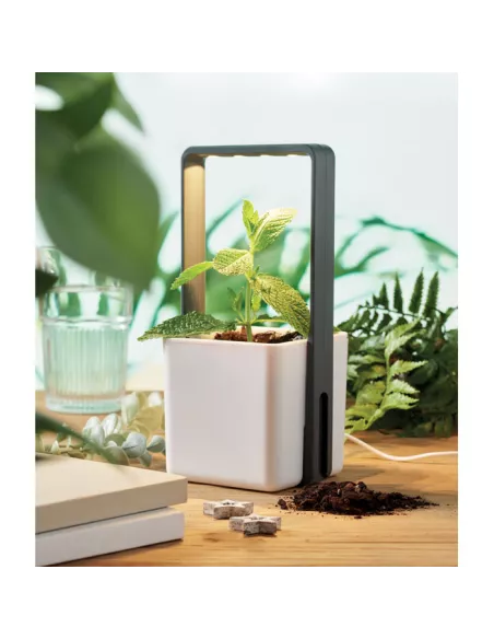 Indoor garden with LED light LUSHLET
