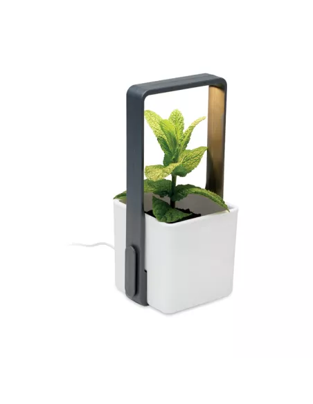 Indoor garden with LED light LUSHLET